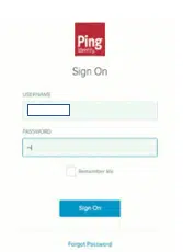 Futures connexions – Enter your password Ping Identity